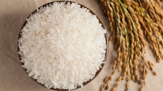Dengan dengan mutu premium memiliki perbedaan yang mencolok dibanding beras biasa
